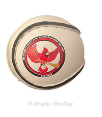 CUA Team Sliotars