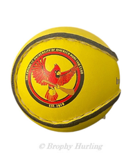 CUA Team Sliotars