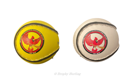 CUA Team Sliotars